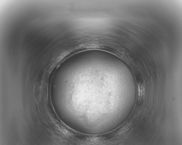 X0000060230301200510311554