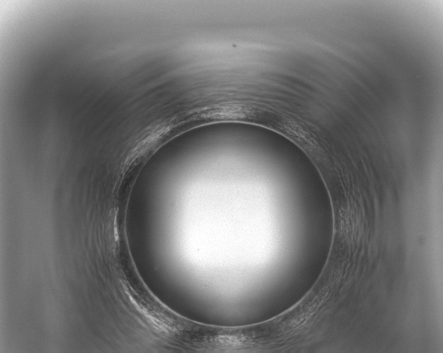 X0000060230302200510311554