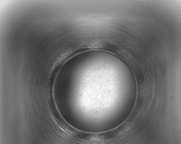 X0000060230303200510311554