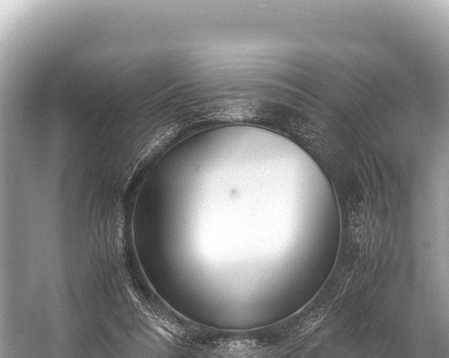 X0000060230304200510311554