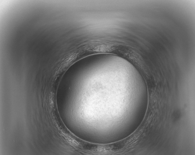 X0000060230305200510311554