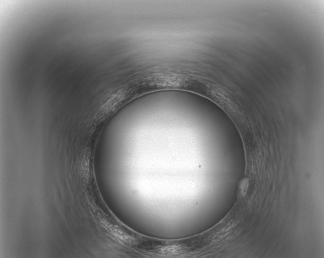 X0000060230309200510311554