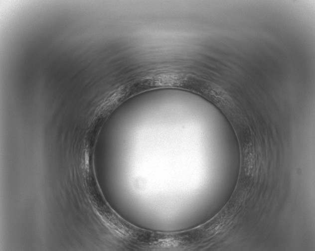 X0000060230310200510311554