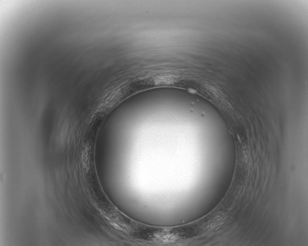 X0000060230311200510311554