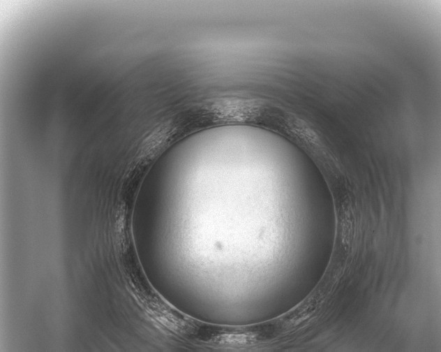 X0000060230314200510311554