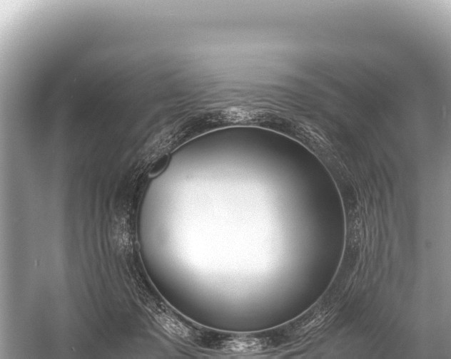 X0000060230317200510311554