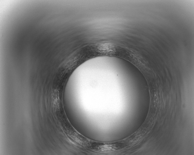 X0000060230320200510311554