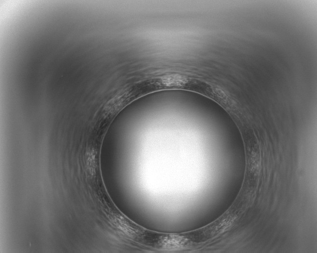 X0000060230321200510311554