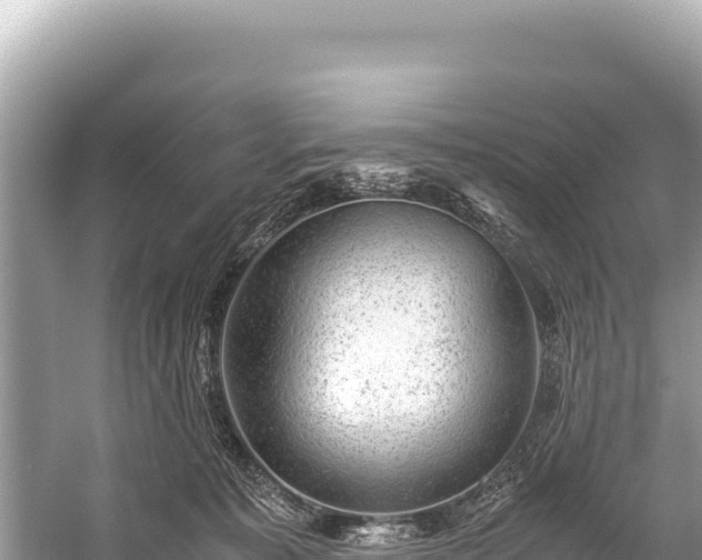 X0000060230323200510311554