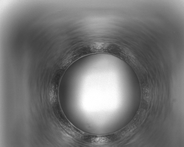 X0000060230324200510311554