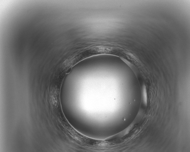 X0000060230325200510311554