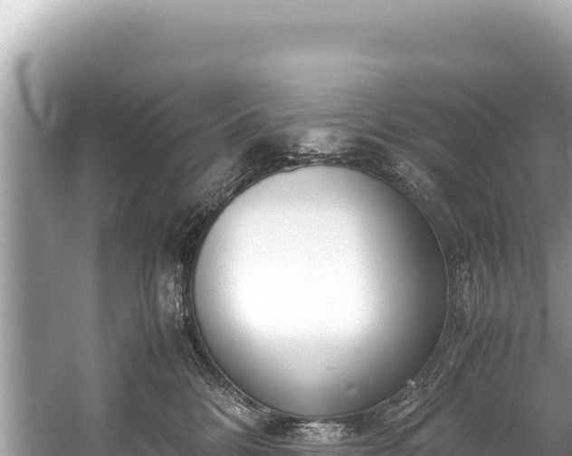 X0000060230328200510311554