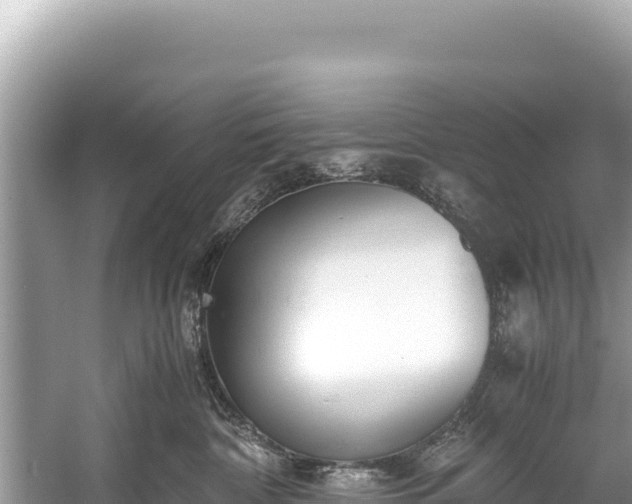 X0000060230332200510311554