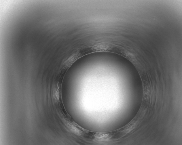 X0000060230334200510311554