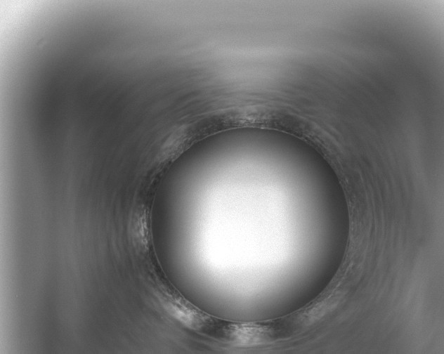 X0000060230336200510311554