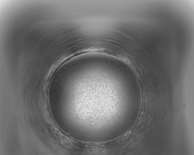 X0000060230337200510311553