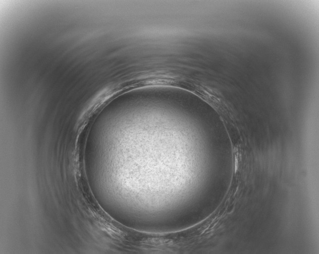 X0000060230339200510311553