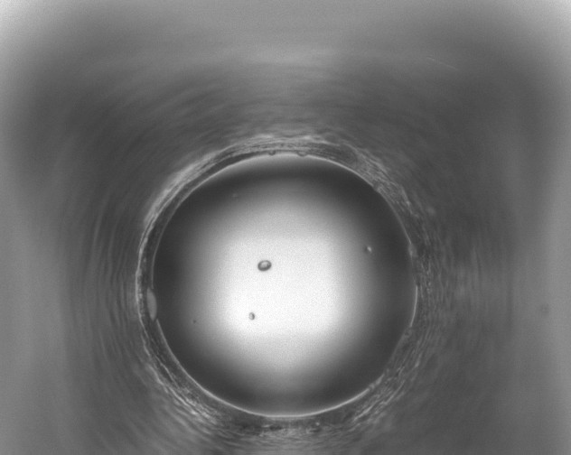 X0000060230340200510311553