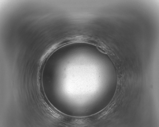 X0000060230341200510311553