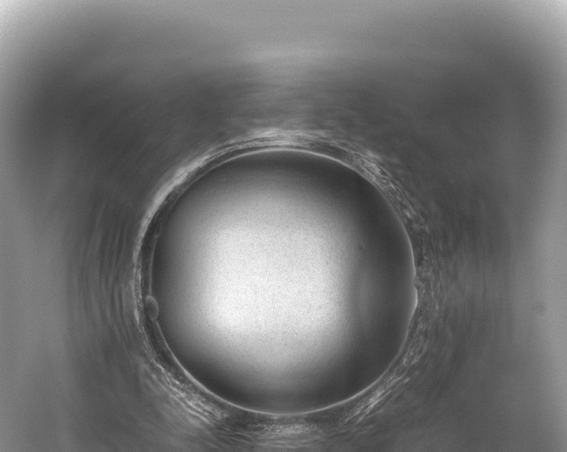 X0000060230342200510311553