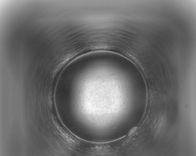 X0000060230345200510311553