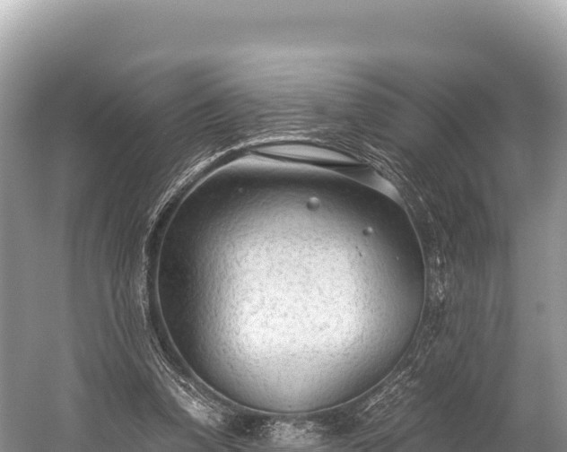 X0000060230346200510311553