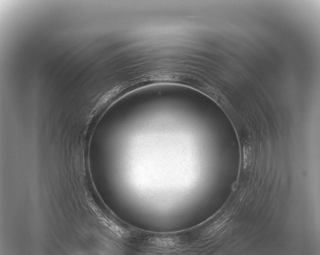 X0000060230349200510311553