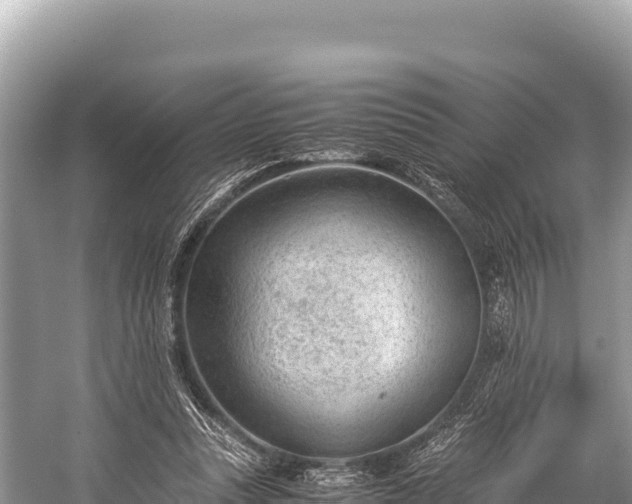 X0000060230351200510311553