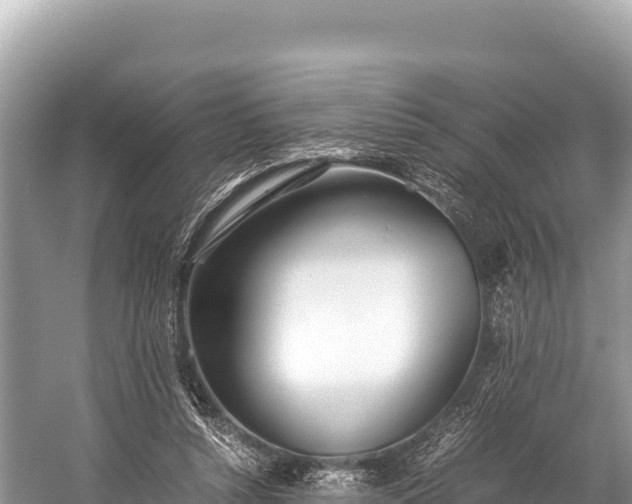 X0000060230352200510311553