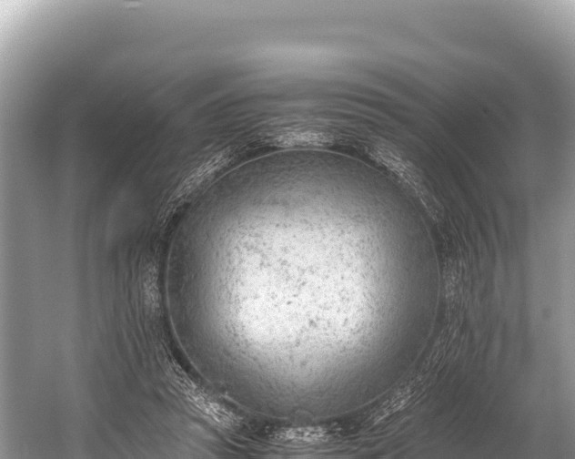 X0000060230353200510311553