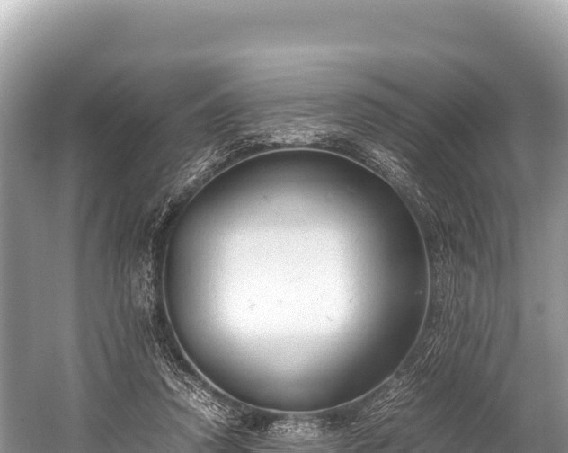 X0000060230354200510311553