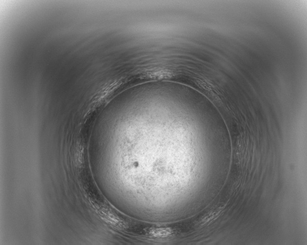 X0000060230355200510311553