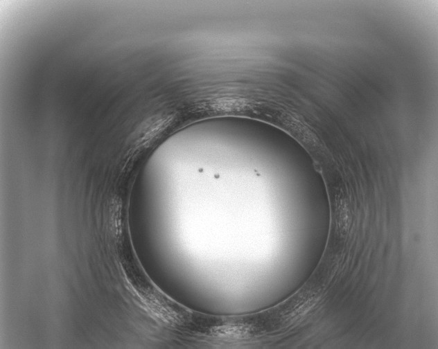 X0000060230356200510311553