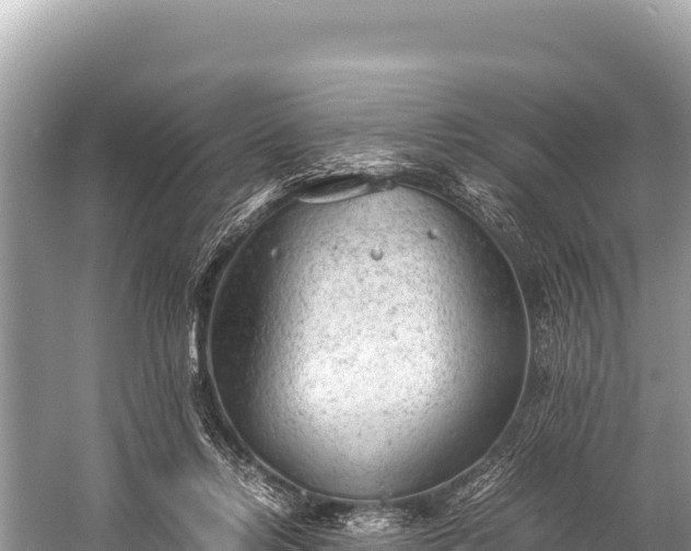 X0000060230358200510311553