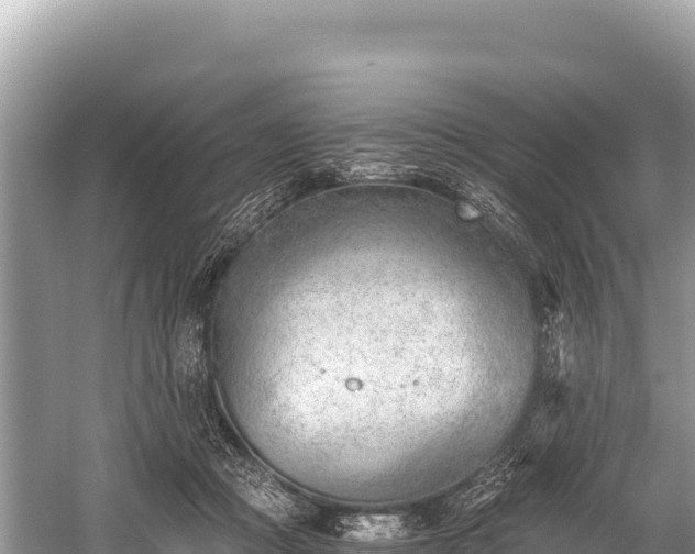 X0000060230361200510311553