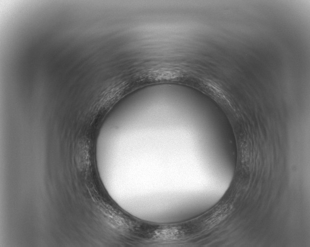 X0000060230362200510311553