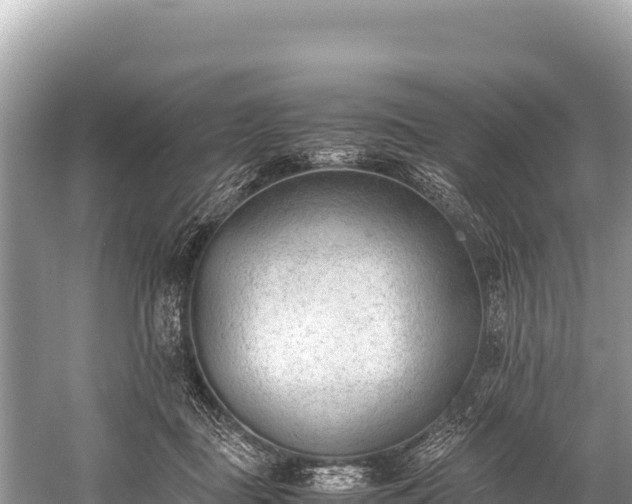 X0000060230363200510311553