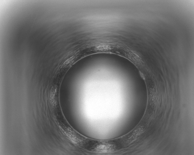 X0000060230364200510311553