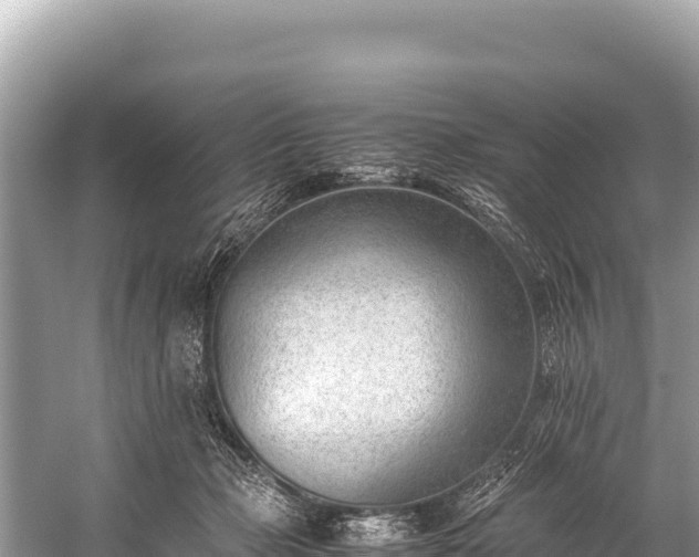 X0000060230365200510311553