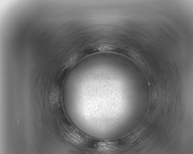 X0000060230367200510311553