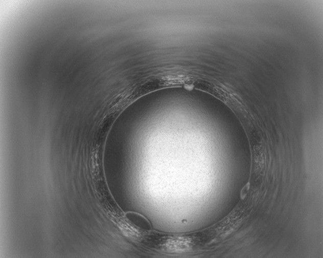 X0000060230369200510311553