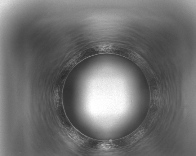 X0000060230372200510311554