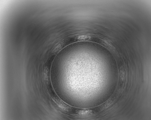 X0000060230375200510311554