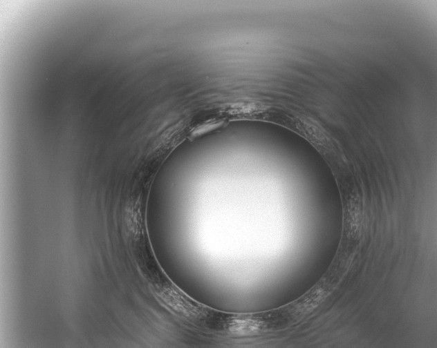 X0000060230376200510311554