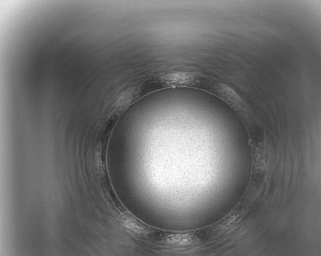 X0000060230377200510311554