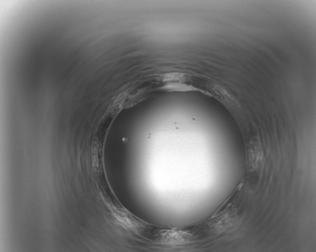 X0000060230379200510311554