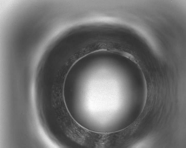 X0000060230383200510311554