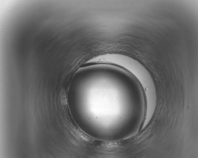 X0000060230384200510311554