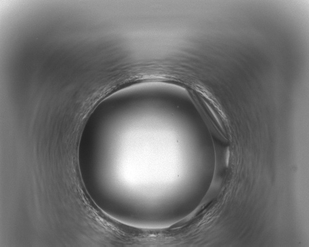 X0000060230385200510311553