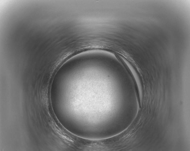 X0000060230386200510311553